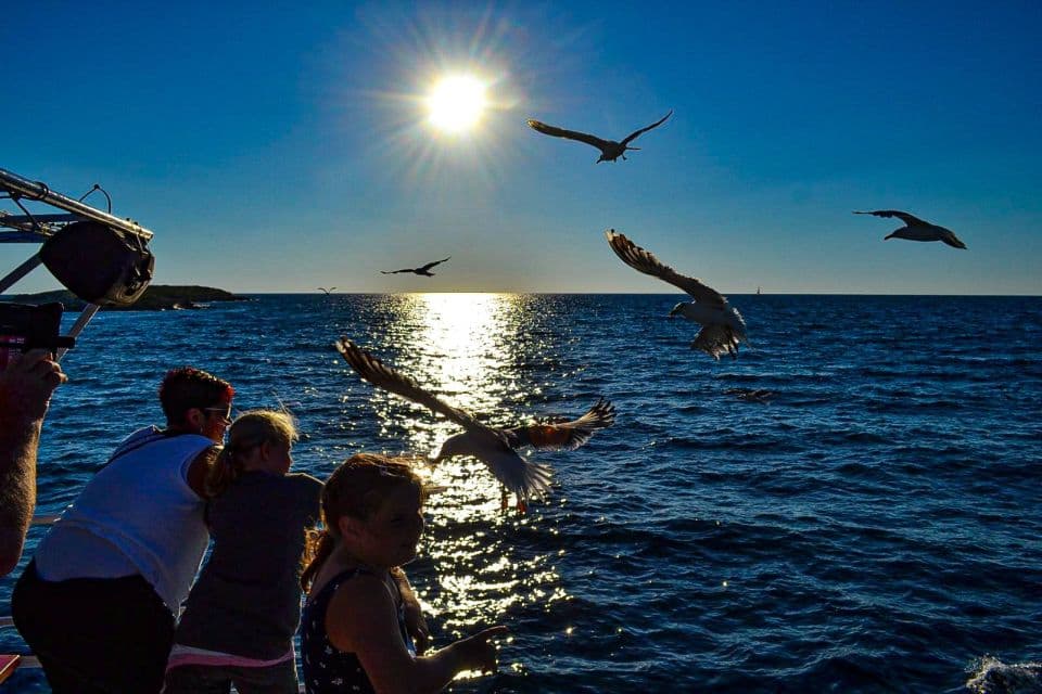 Pula - Rejs statkiem: Zachód słońca z kolacją i szukanie delfinów