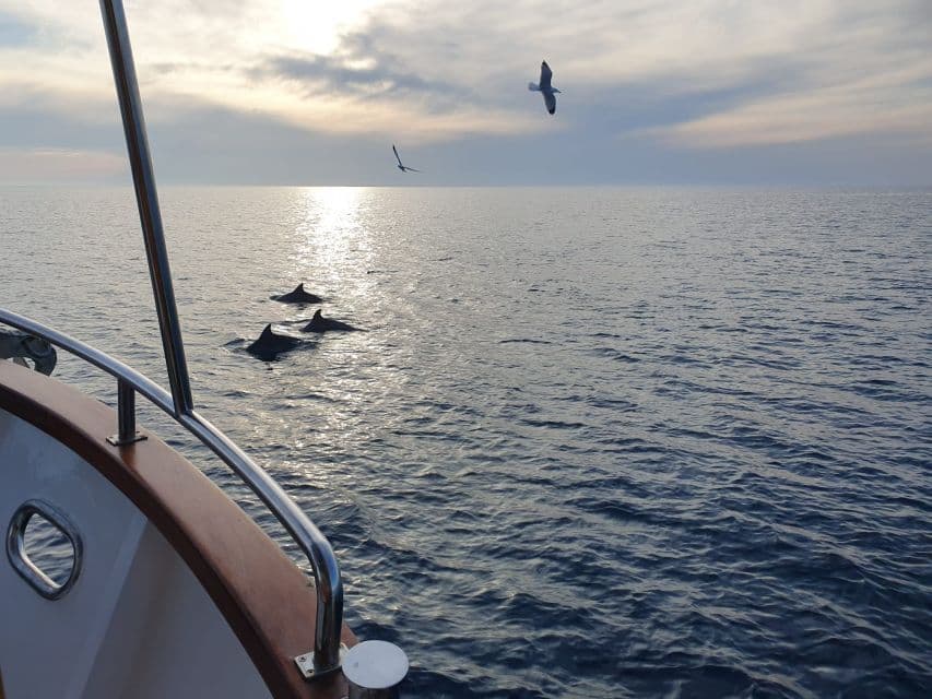 Pula - Rejs statkiem: Zachód słońca z kolacją i szukanie delfinów