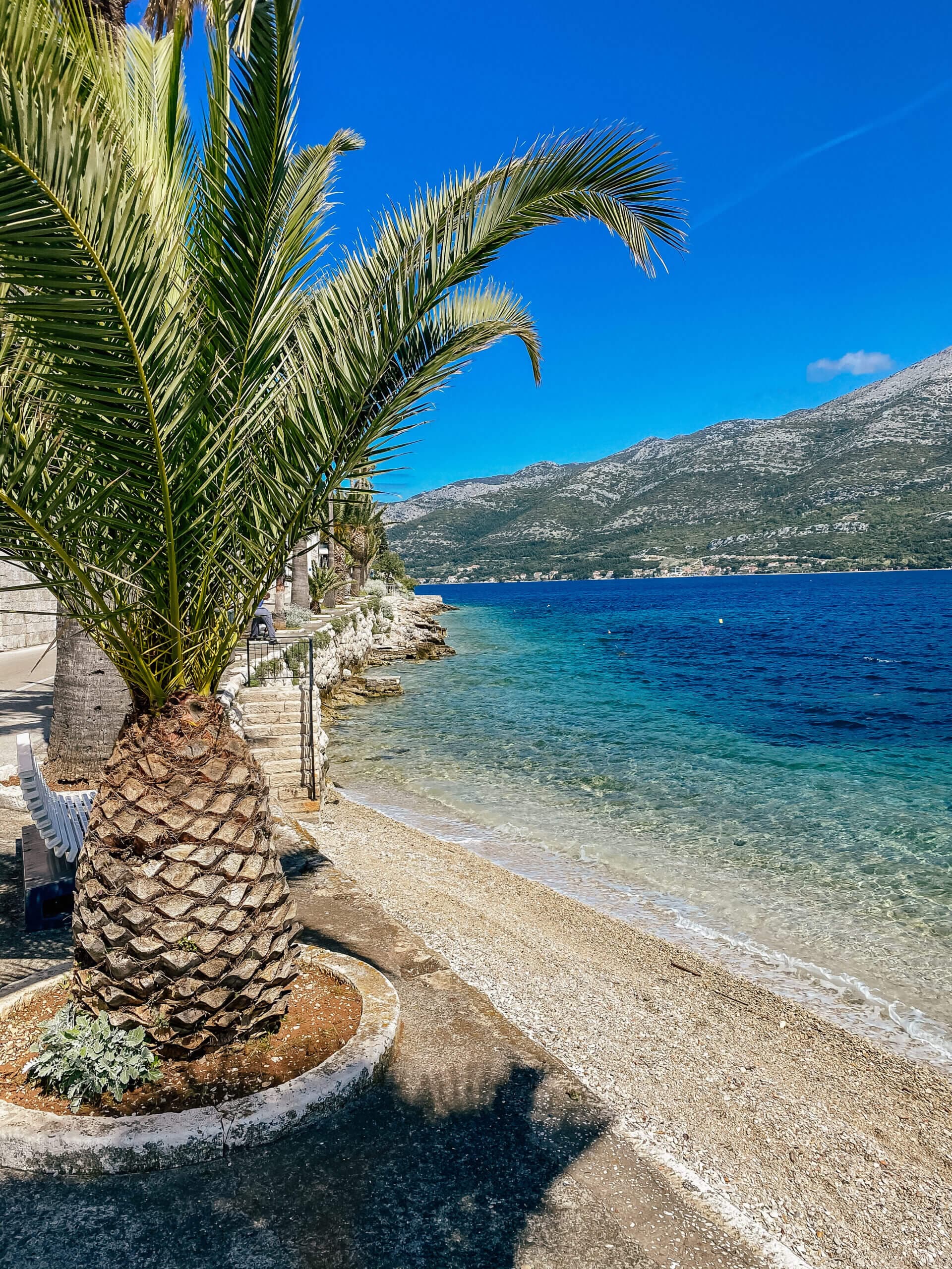 Podgora: całodzienny rejs statkiem do Korčuli (opcja z lunchem)