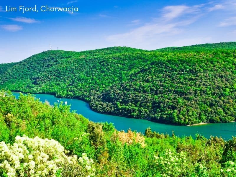 Rovinj - rejs po archipelagu Rovinjskim i Lim fjord z lunchem