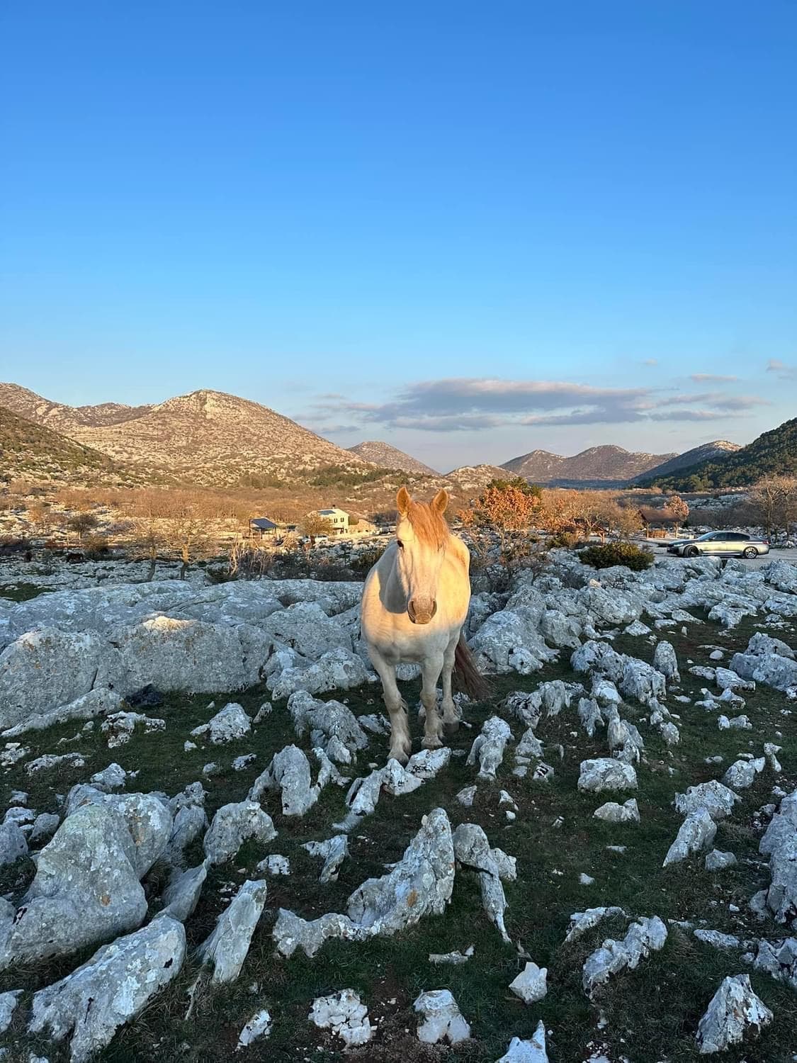 Skywalk - Grupowa wycieczka z polskim przewodnikiem (szklany taras Biokovo)