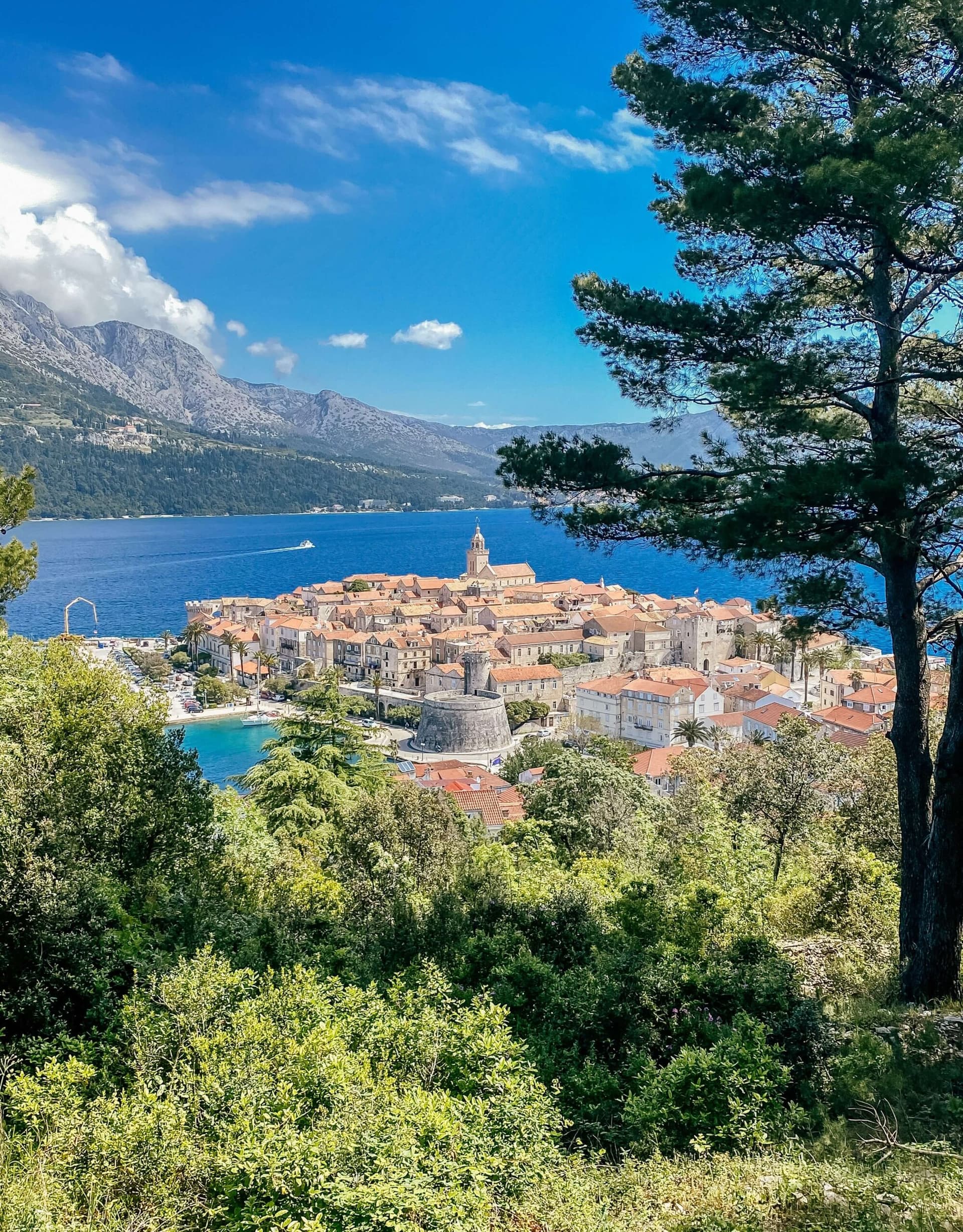 Riwiera Makarska: wycieczka do miasta Korčula z polskim przewodnikiem