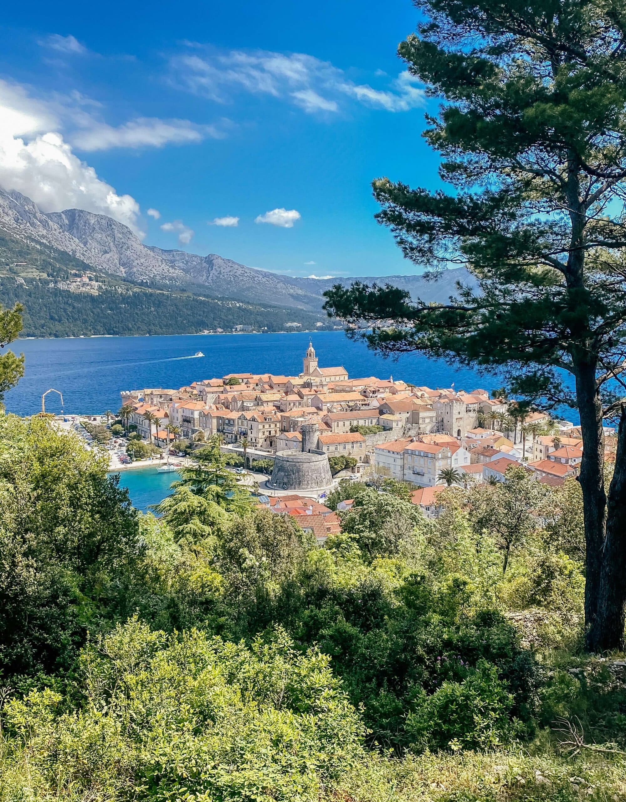 Makarska: wycieczka do miasta Korčula z polskim przewodnikiem